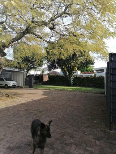 Hostal 33 On Smuts Selborne