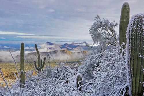 Tucson Natural 5br By Casago