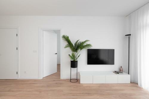 Brand New And Modern 1bdr Apartment
