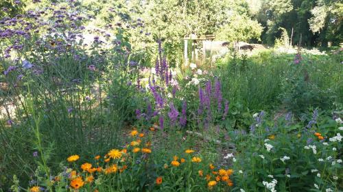 Bed & Breakfast de Geheime Tuin - Boshuis