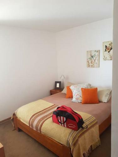 Apartamento Refugio El Colorado, Ski, Snowboard