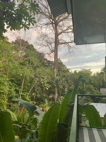 Casa Vista A La Monta�a
