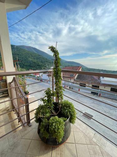 Ioannis (Family House)