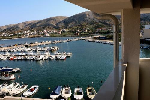 Apartment Penthouse Franci