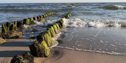 Apartament Sound Of The Sea