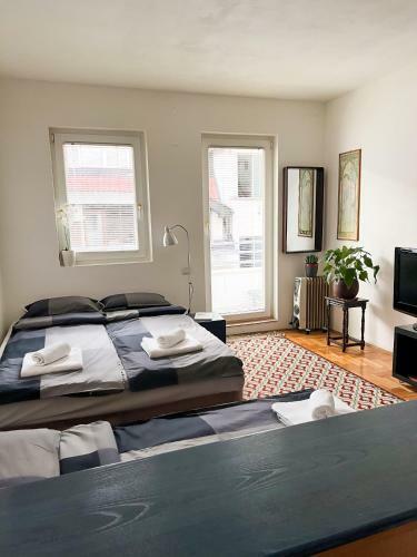 Panda Apartment