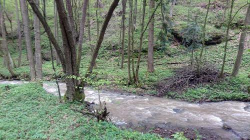 Apartamento Chata U Dub�kov (Mushrooms Cottage)