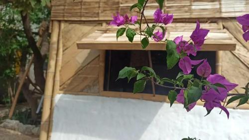 Posada Botavara.taganga