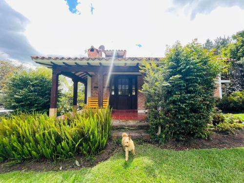 Hostal Villa Cecilia Casa Campestre