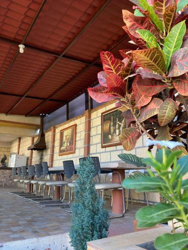 Villa Quinta Do�a Carlota