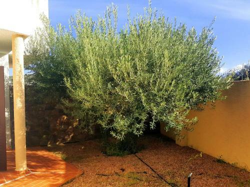 Gorgeous Apartment In Castelsardo With Swimming Pool