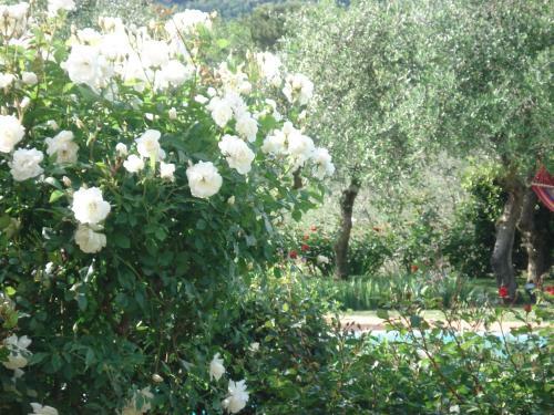 Villa Antica Sosta Renai