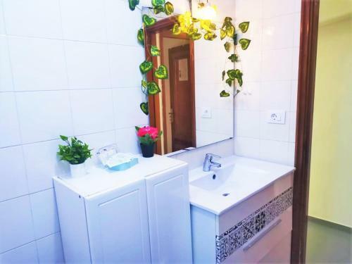 Apartamento Barato En El M�dano