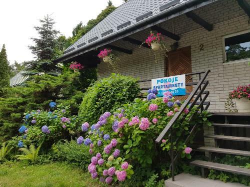 Pokoje I Apartamenty Przy Sosnowej