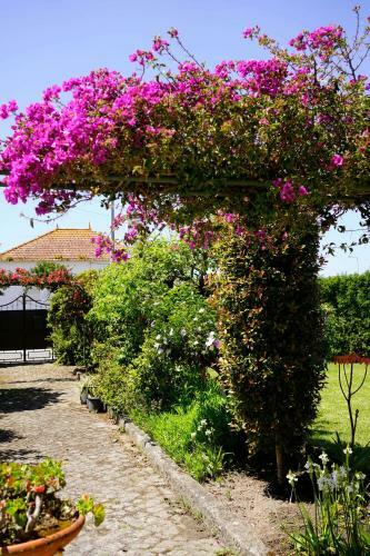 Hostal Casa Do Av� Hor�cio