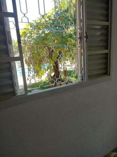 Para�so Da Mata
