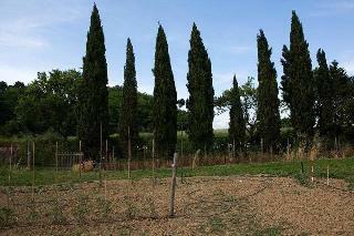 Agroturismo Agriturismo La Topaia