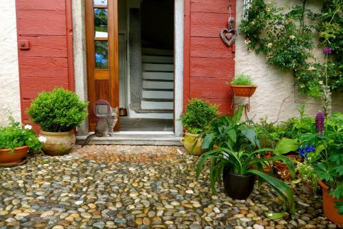 Bed & Breakfast Uvablu