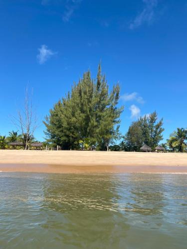 Apartamento Flat Alto Padr�o Barra Grande