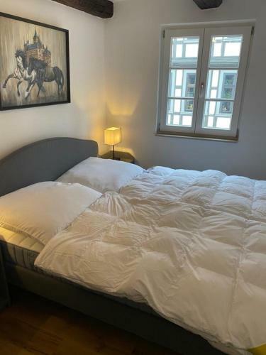 Apartamento Halberst�dter Fachwerktraum
