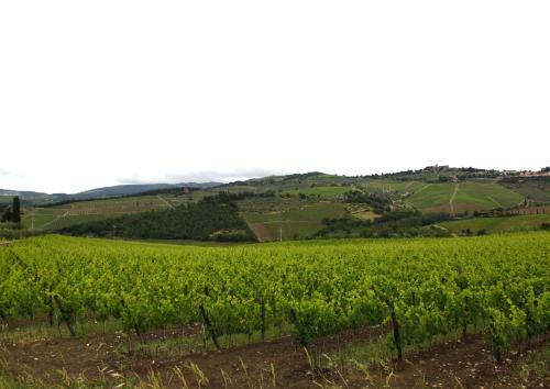 Agroturismo Podere Il Poggiolo