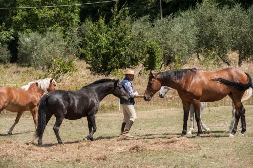 Agroturismo Podere Il Poggiolo