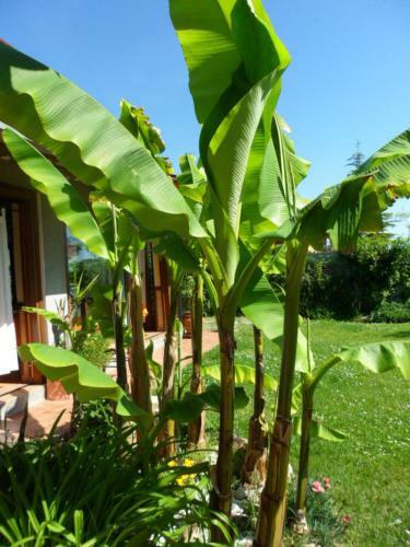 Agroturismo Agriturismo La Quiete