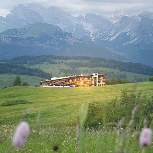 Paradiso Pure Living Vegetarian-vegan Hotel