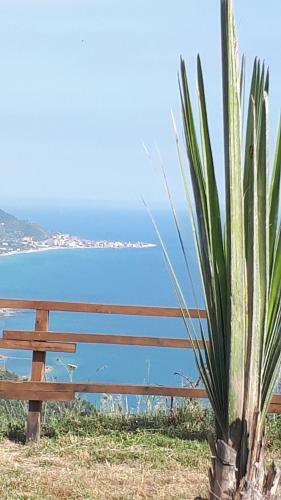 Agroturismo Tenuta Belvedere Cilento