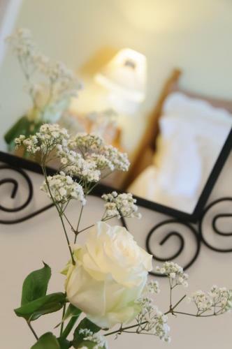 B&B La Fenice