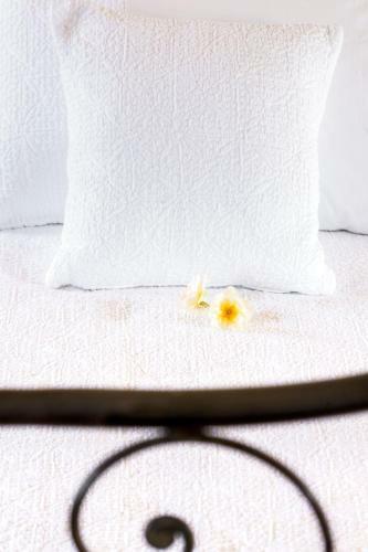 Bed & Breakfast Corte Della Maest� Antica Residenza