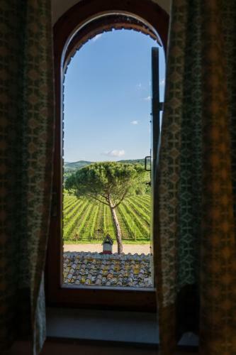 Agroturismo Fattoria Viticcio
