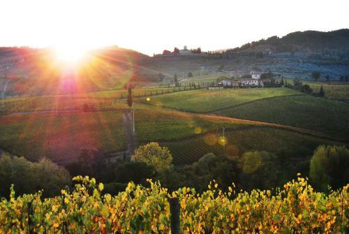 Agroturismo Fattoria Viticcio