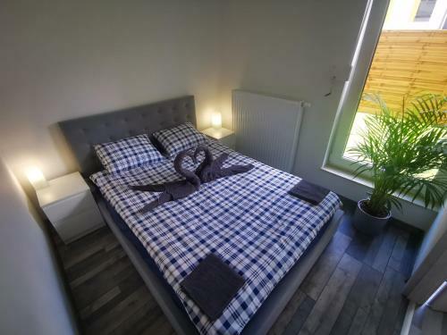 Apartament Z Ogr�dkiem-3 Pokoje