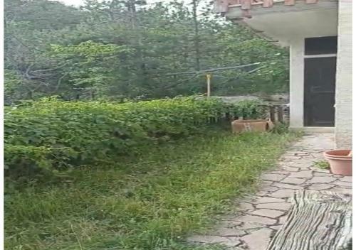 Apartamento Un Giardino Nel Bosco