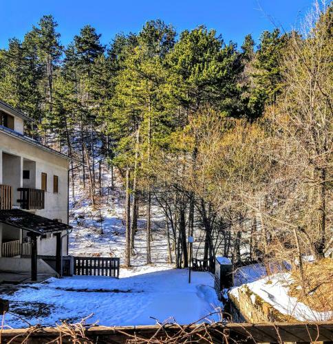 Apartamento Un Giardino Nel Bosco