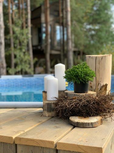 Bed & Breakfast My Tree Home Warszawa, Macierowe Bagno