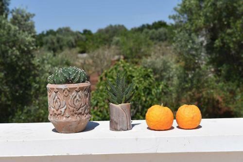 Charming And Luxury Villa Close To Ostuni