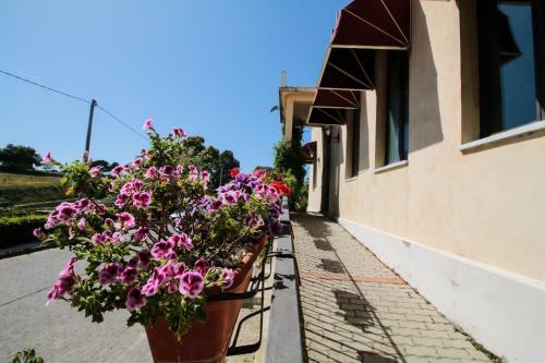 Albergue Agriresort San Bartolomeo