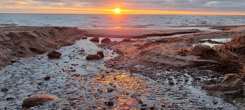 Apartamento Strandnahe Gartenwohnung