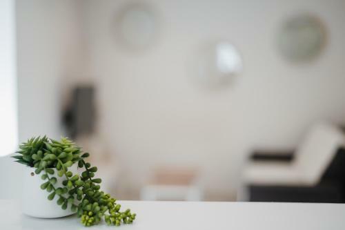 Apartamento Magnifique Loft Baln�o Hammam #3