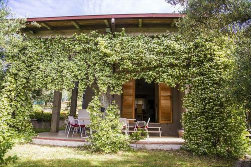 Casa Mia -per Sentirti A Casa Tua