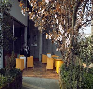 Hotel Valpolicella International