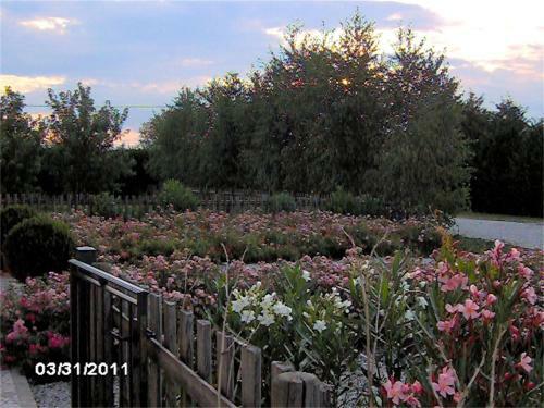 Agroturismo Agriturismo Il Magicorto