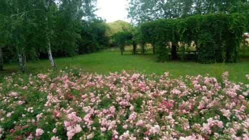Agroturismo Agriturismo Il Magicorto