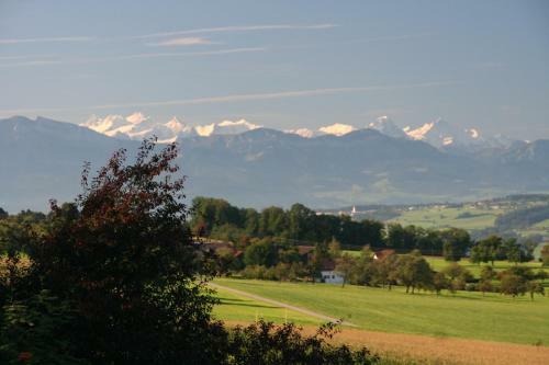 Bed & Breakfast Swiss Seasons