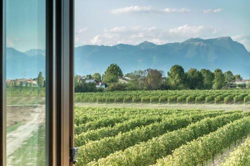 Agroturismo Tenuta La Borghetta