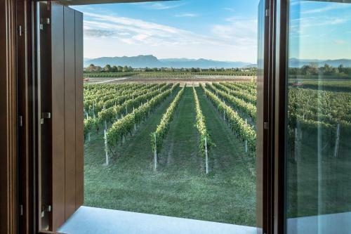 Agroturismo Tenuta La Borghetta