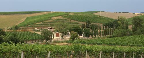 Agroturismo Agriturismo Bonacchi