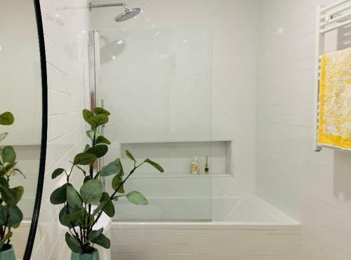 Apartamento En El Centro de Sanl�car Con Wifi
